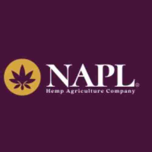 naplimited Profile Picture