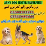 Army Dog Center Rawalpindi Profile Picture