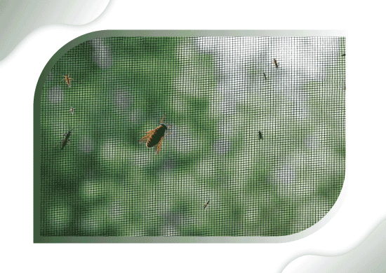 Mosquito Net for Windows | Royal Mesh