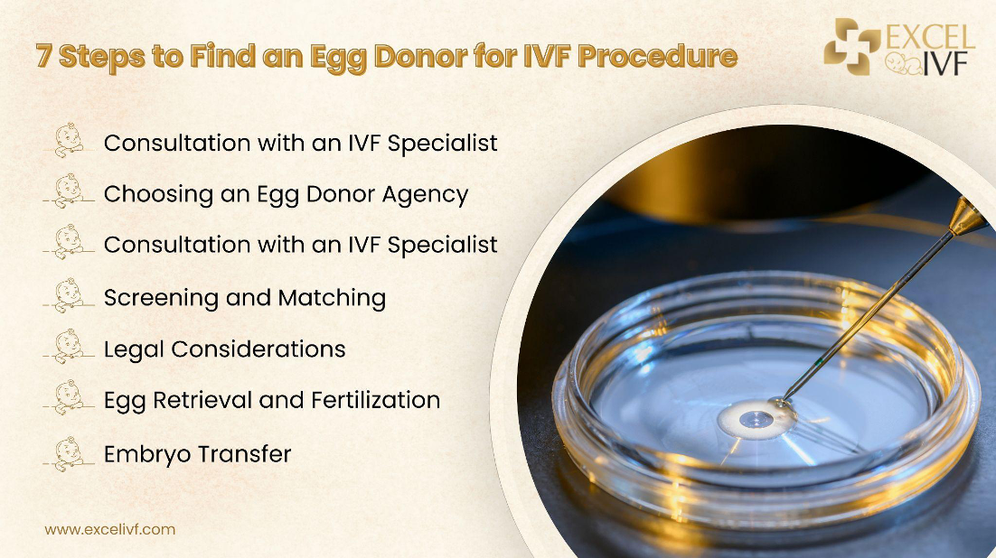 How to Find an Egg Donor?