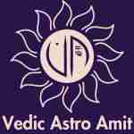 Vedic Astro Amit Profile Picture