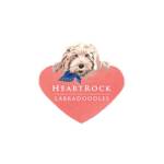 HeartRock Labradoodles Profile Picture