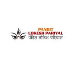 Pandit Lokesh Pariyal profile picture