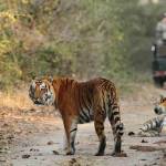 Jim Corbett National Park Profile Picture