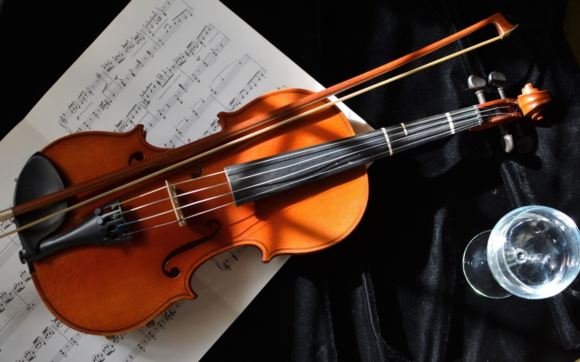 Meet the String Family: How to Choose the Right Instrument for Your Child | lifestylemanor