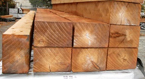 Eco-Friendly Building: The Sustainability of Cedar Lumber