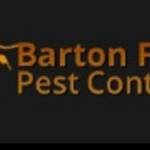 risa honti Profile Picture