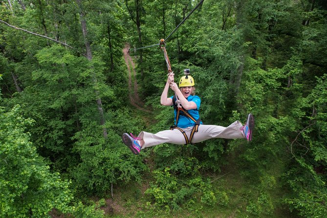 From Scenic Views to Adrenaline Rushes: Why Ziplining Is a Must-Try – BizBuildBoom
