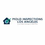 Mold Inspections Los Angeles