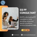 Esipf Consultants profile picture