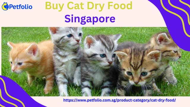 Get the high Quality to Buy Cat Dry Food Singapore.pptx