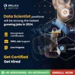 Brillica Services Profile Picture