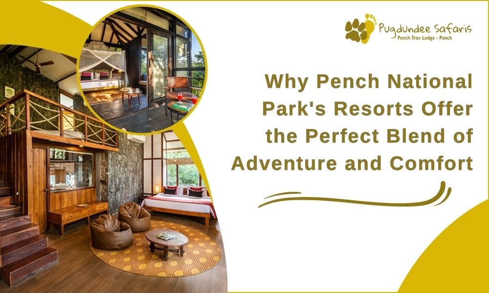 Why Pench National Park’s Resorts Offer the Perfect Blend of Adventure and Comfort | by Pench Tree Lodge | Jul, 2024 | Medium