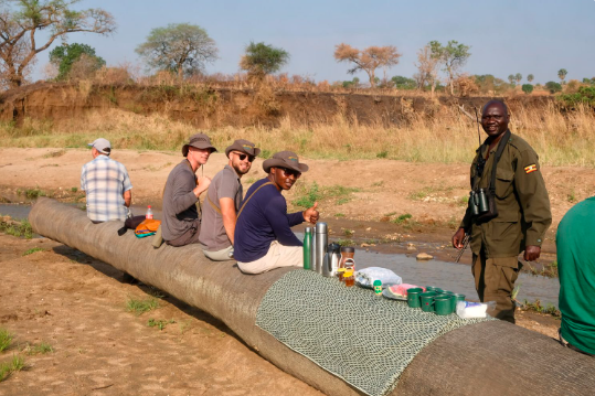 Exploring Africa’s Wilderness with Walking Safaris and Adventure Trekking | by Bush Wonderers | Jul, 2024 | Medium