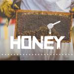 Abhay Vasant Profile Picture