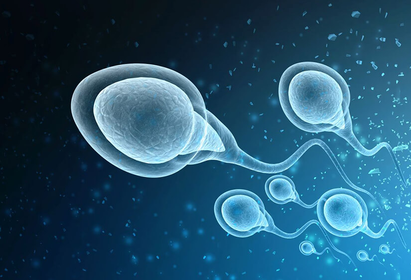 IVF with Donor Egg and Sperm: A Hopeful Path to Parenthood