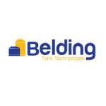 Belding Tank Technologies Inc. Profile Picture