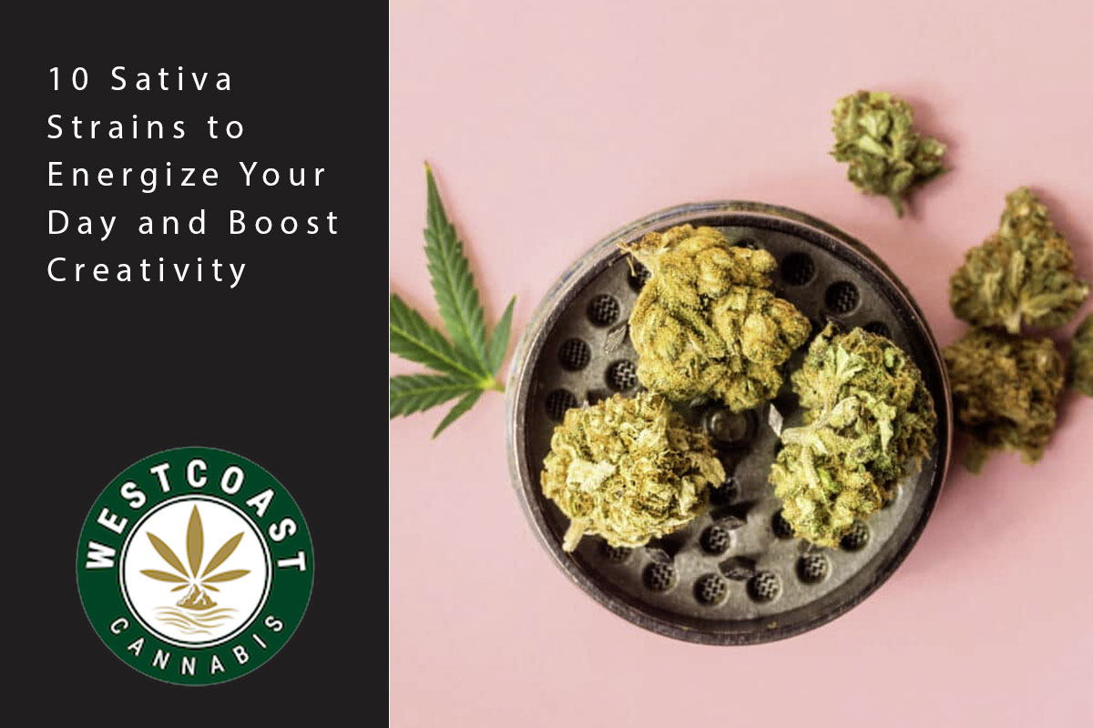 10 Sativa Strains to Energize Your Day and Boost Creativity - West Coast Cannabis