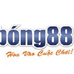 Bong88 ibet Profile Picture