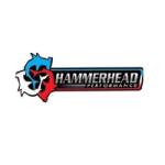 HammerHead Performance Profile Picture