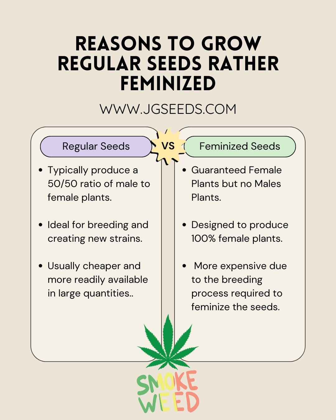 Feminized Seeds vs Regular Seeds: Which is Right for You? - The Johnny Seeds Bank