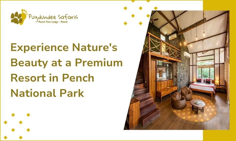 Experience Nature's Beauty at a Premium Resort in Pench National Park