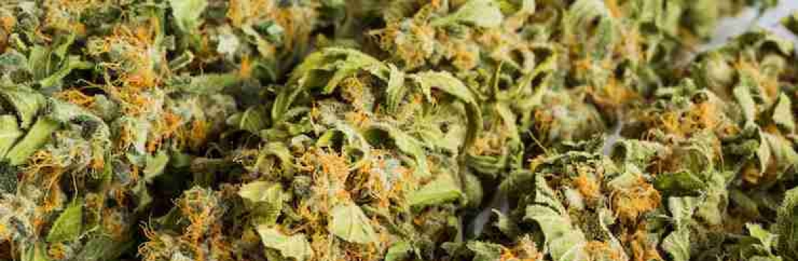 Green Hippo Cover Image