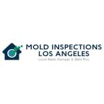 Mold Inspections