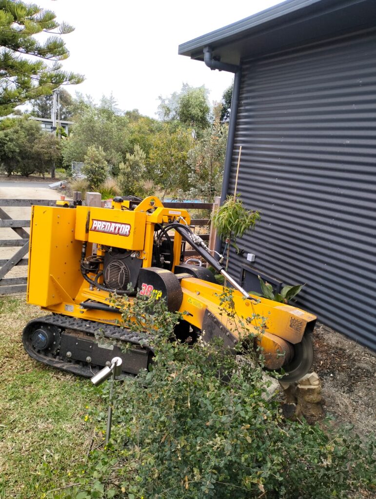 Professional Stump Grinding Services in Barwon Heads