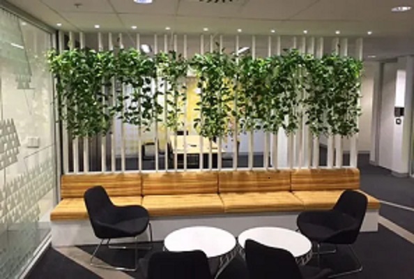 Breathe Life into Your Workspace: The Power of Office Plants in Melbourne