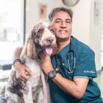 DCC Animal Hospital Profile Picture