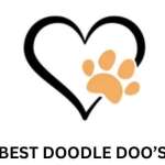 bestdoodledoos Profile Picture