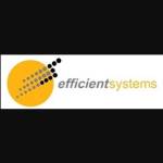 Efficient Systems Pte Ltd Profile Picture