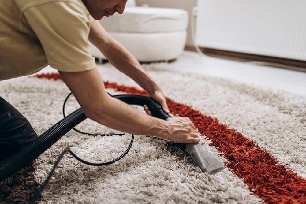 How In-Home Carpet Cleaning Service Can Actually Benefit You - The Health News 24