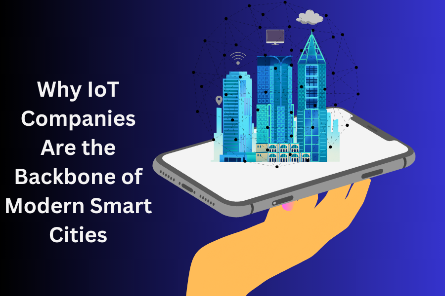 Why IoT Companies Are the Backbone of Modern Smart Cities – web development company | Biztechcs