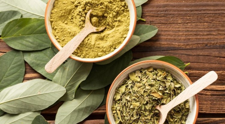 The Benefits of Choosing Indian Herbal Powder Manufacturers - The News Brick