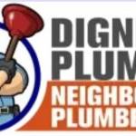 Dignity Water Softener Systems Whole House Profile Picture
