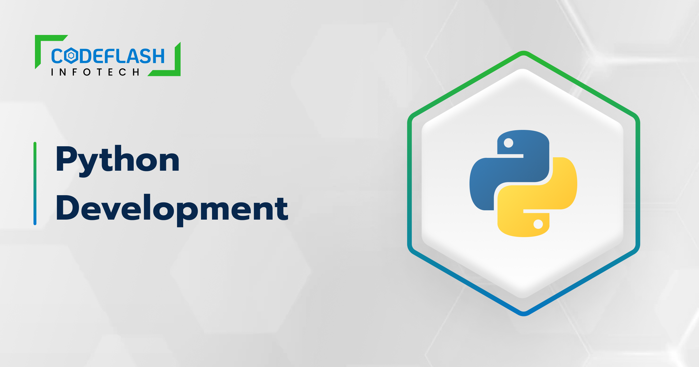 Top Python Development Company :: Python Development service