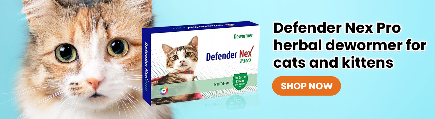 Buy Healthy Dry Cat Food: Kittens, Adults and Seniors | Remediovet