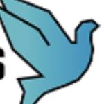 Pigeon Master profile picture