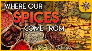 MTESpice: Leading Spices Exporters in India with Premium Quality Offerings