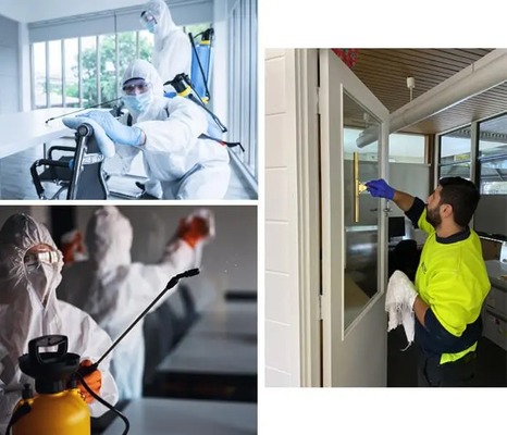 Get Rid of Mould in Your Home with Advanced Mould Remediation Service - Professional Community Article By Capital Facility Services