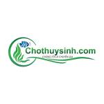 Cho thuy sinh Profile Picture