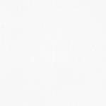 Conolidine Reviews Profile Picture