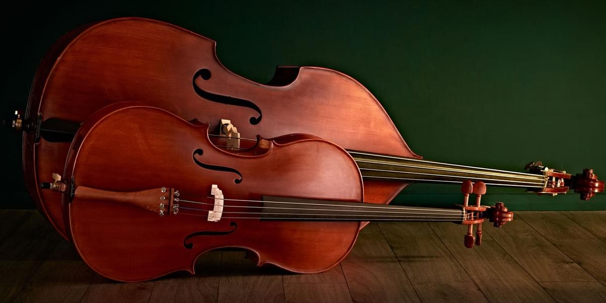 Double Bass Instrument: Things to Consider for Your Fir...