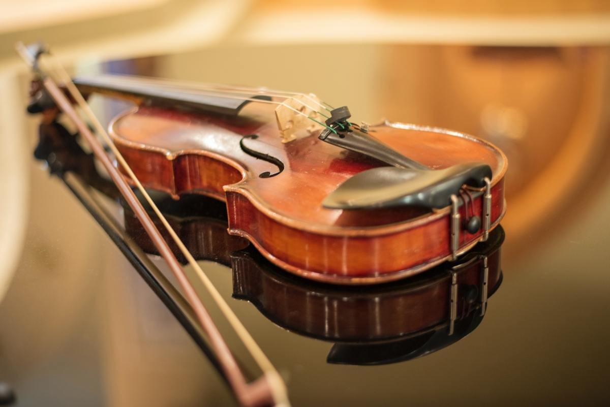 Everything You Need to Know About Viola, Violin and Cel...