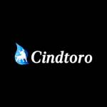 Cindtoro Agency in Orlando FL Profile Picture