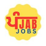 The Punjab Jobs Profile Picture