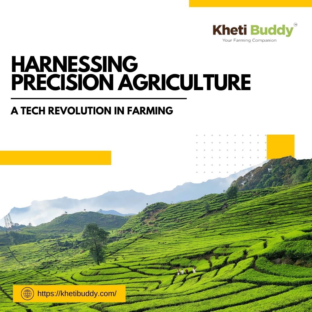 KhetiBuddy empowers farmers with data-driven insights to optimize crop yield and profitability. Our Precision farming software... – @kheti-buddy on Tumblr