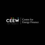 CEEW CEF profile picture